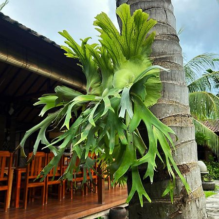 Toke Menjangan Hotel Banyuwedang Kültér fotó